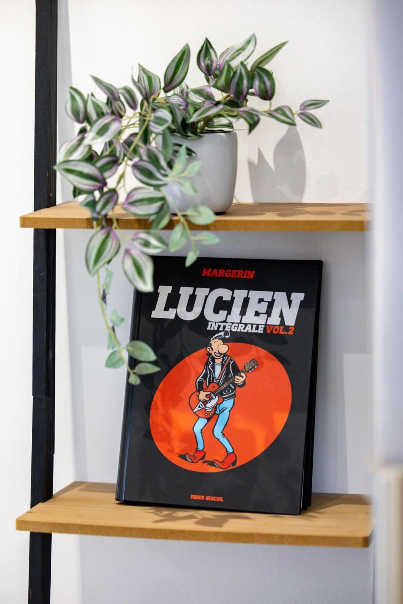 Le Lucien Eco-Appart'Hotel - Angouleme - Centre - Wifi - Parking Prive - Classe 4 Etoiles Esterno foto