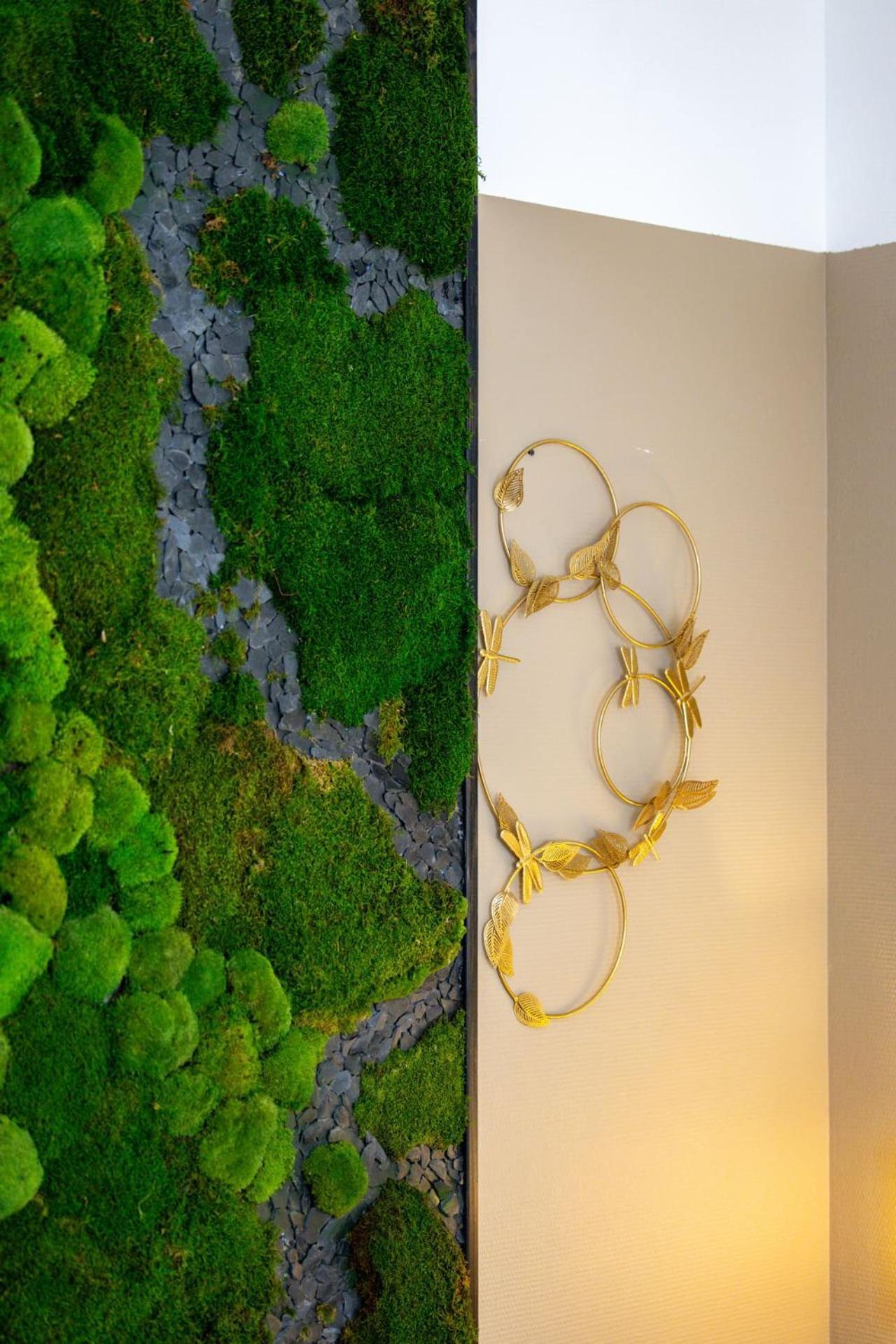 Le Lucien Eco-Appart'Hotel - Angouleme - Centre - Wifi - Parking Prive - Classe 4 Etoiles Esterno foto